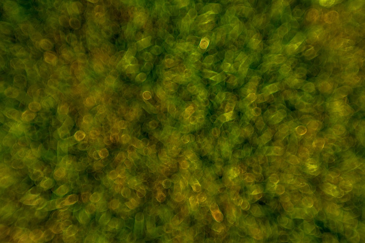 blurry image of tiny bacteria