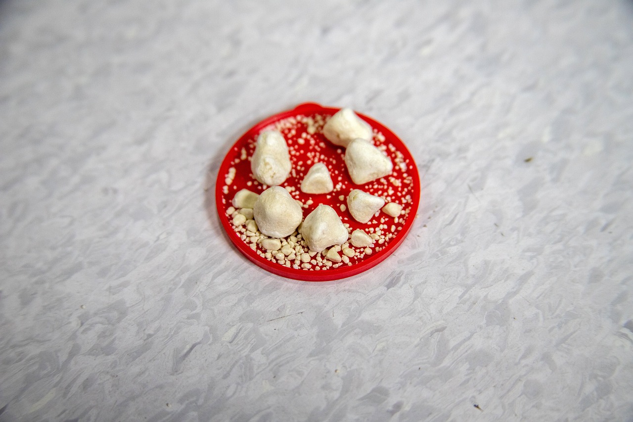 large white kidney stones and fragments in a red dish