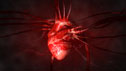 169_heartCellReg