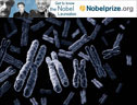 172_nobelPrizes09