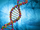 328-genome