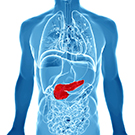 392-pancreatic