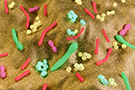 430-microbes
