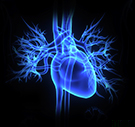 451-heart