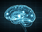 474-brain