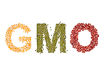 516-gmos