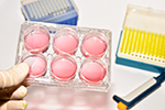 555-stem_cells