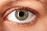 556-eyes