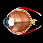 571-eye