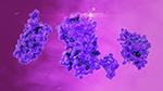 576-cells