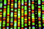 618-genetic
