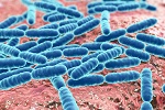 670-autismgut