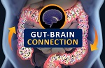 683-gut