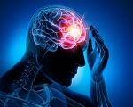 694-brain