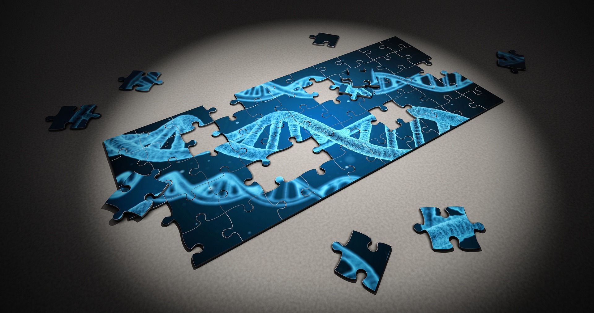 genetic puzzle pieces