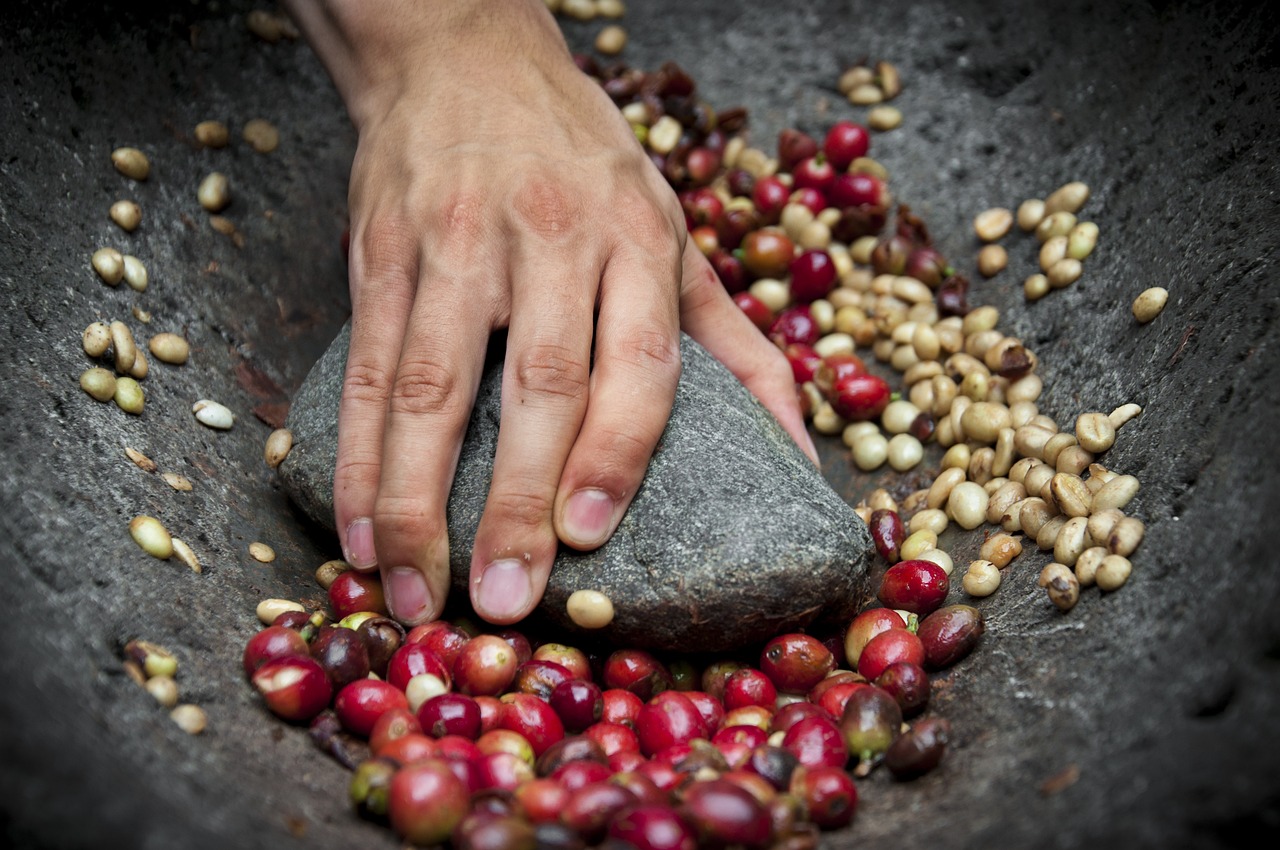 raw coffee beans