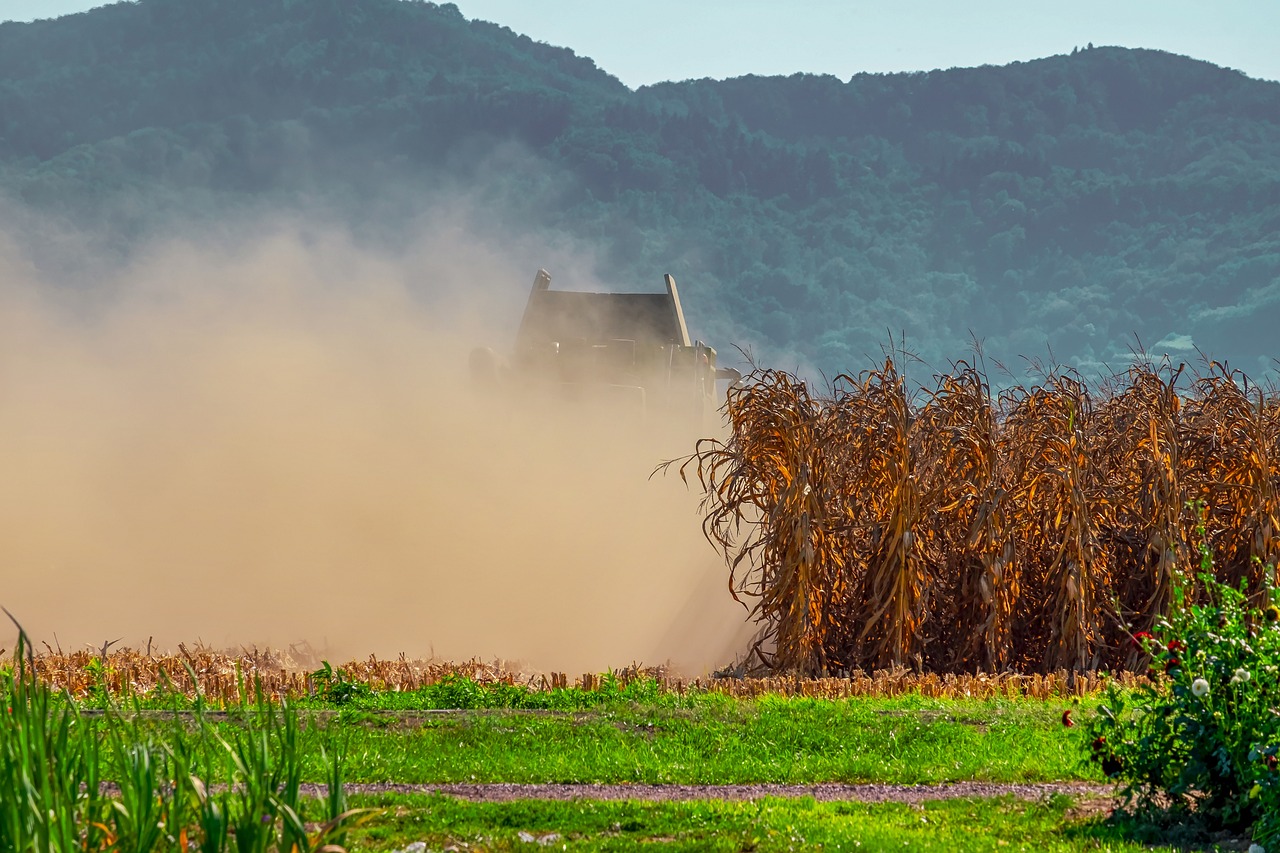 dust being blown over field