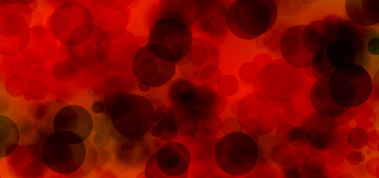 blood cells