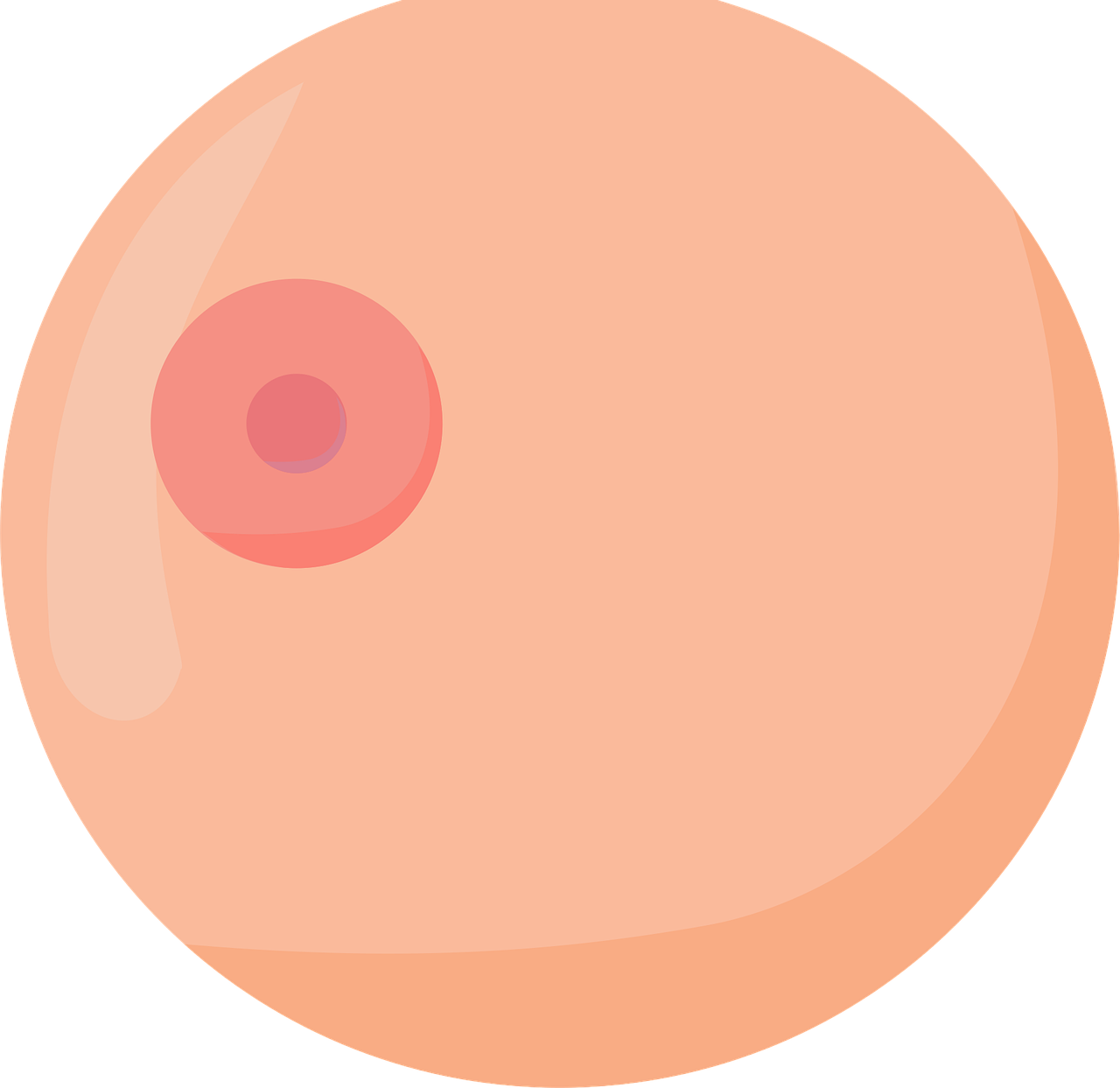 illustration of woman's breast
