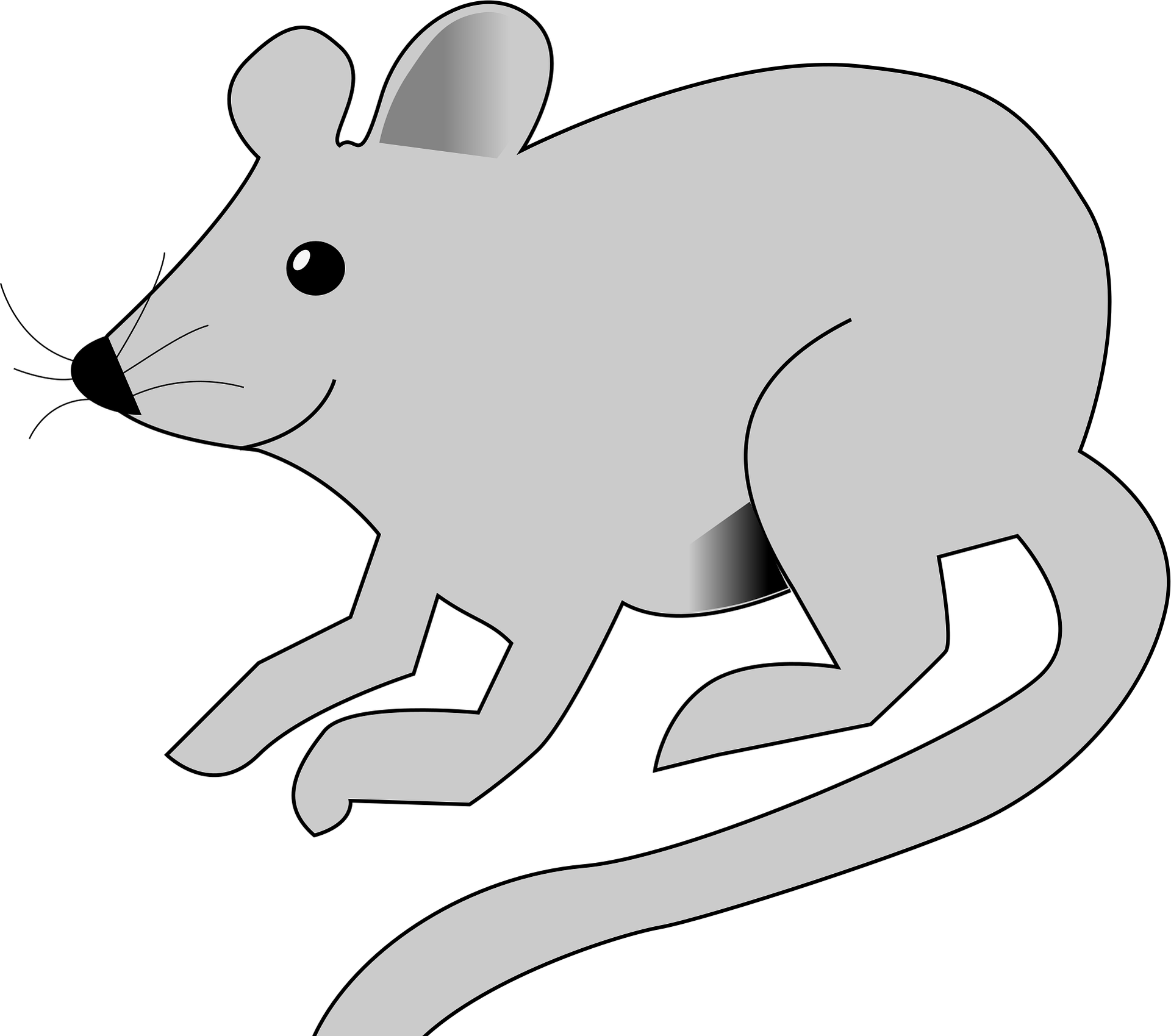 illustration of a mouse